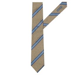 Галстук GIUGIARO R 03